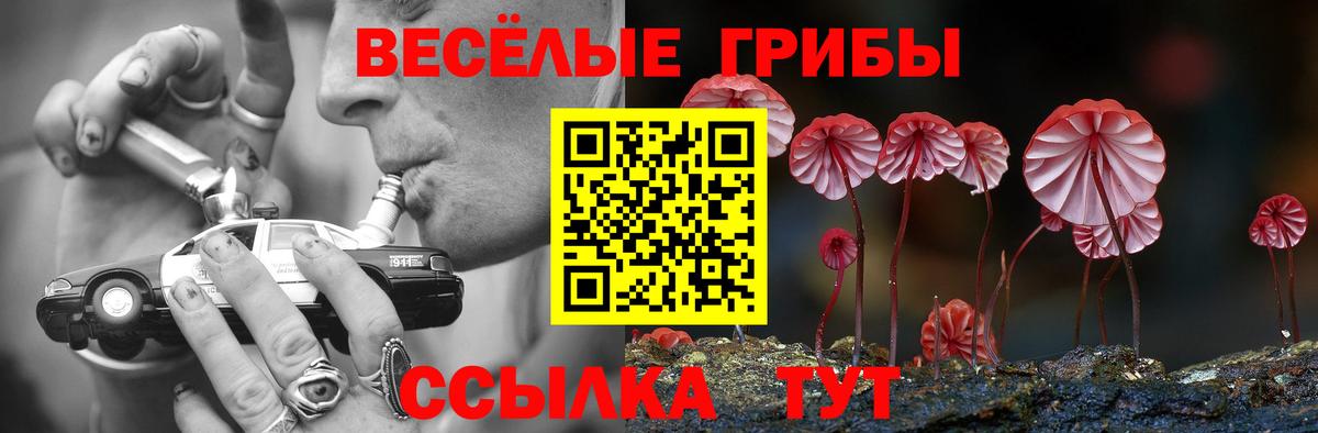 Галлюциногенные грибы ЛСД  Вход с VPN  Лыткарино  Галлюциногенные грибы прущие грибы 